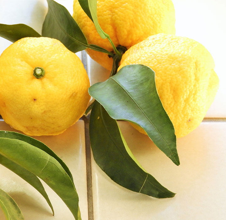 画像：高知県産ゆず果皮油使用